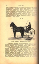 Книга о лошади. Настольная книга для каждого владельца и любителя лошади
