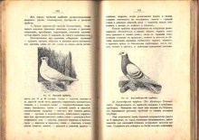 Юргенсон Ив.Ив. Голубеводство. Практическое руководство