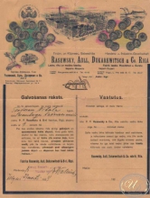Rasewski, Aull, Dukarewitsch and Co.Riga. Письмо, 1924 год.