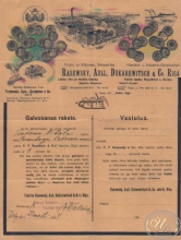 Rasewski, Aull, Dukarewitsch and Co.Riga. Письмо, 1924 год.