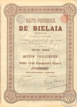 Bielaia, Hauts-Fourneaux (Донецк). Акция в 250 франков, 1899год.