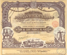 Joltaia Rieka(Krivoi Rog) SA. АО Желтая Река (Кривой Рог). Акция в 100 франков, 1899 год.