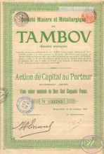 Miniere et Metallurgique du Tambow. АО Тамбовских Металлургических рудников. Акция в 250 франков,1911 год.