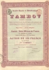 Miniere et Metallurgique du Tambow. АО Тамбовских Металлургических рудников. Акция в 250 франков,1899 год.