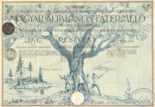 Венгрия.Magyar Altalanos Fatermelo,сертификат на 1 акцию. 1924 год.