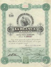 Мексика.Compania de Minas la Blanca,акция. 1912 год.